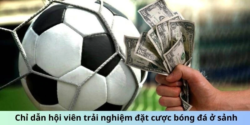 Chỉ dẫn hội viên trải nghiệm đặt cược bóng đá ở sảnh