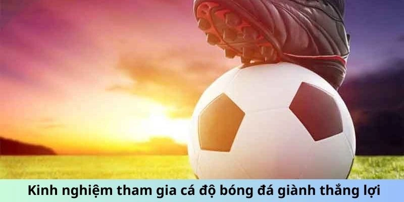 Kinh nghiệm tham gia cá độ bóng đá giành thắng lợi