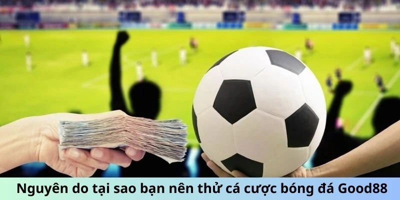 Nguyên do tại sao bạn nên thử cá cược bóng đá Good88