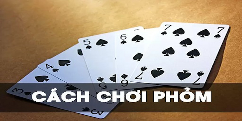 Cách chơi Phỏm đơn giản không phải ai cũng biết