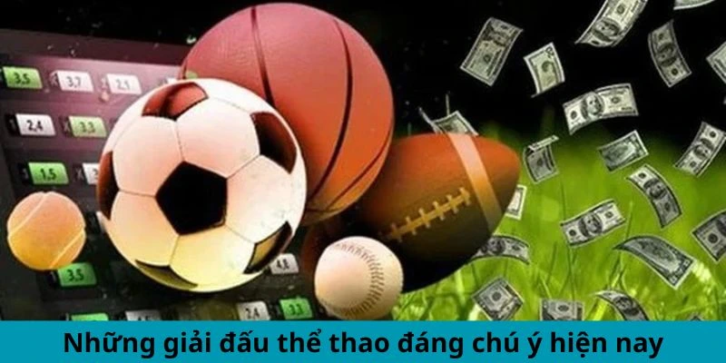 Những giải đấu thể thao đáng chú ý hiện nay