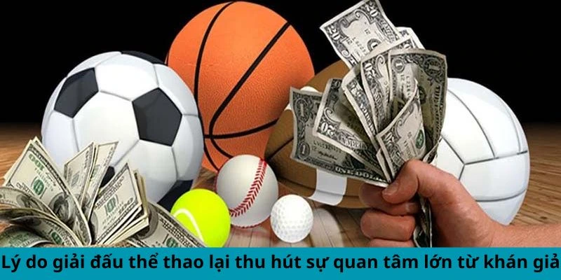 Lý do giải đấu thể thao lại thu hút sự quan tâm lớn từ khán giả